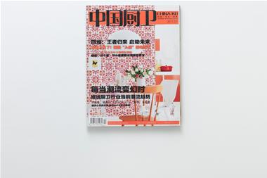 INTERNI_PAGINA_PROSPEROUS01_cover.jpg